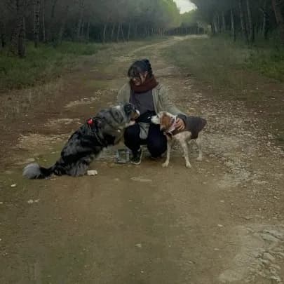 Fondatrice AMUNI petsitting Montpellier avec ses chiens